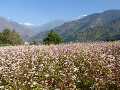 paysage de trek