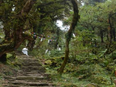 Chemin de trek a travers la montagne
