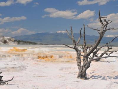 Yellowstone