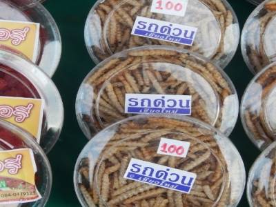 fraises séchées... et larves séchées!