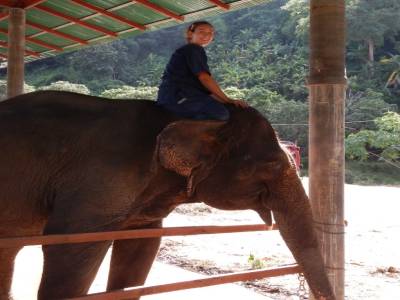 et les gars... je suis sur un éléphant