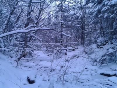 Le petit pont en haut de chez nous