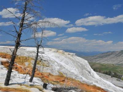 Yellowstone