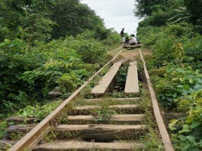 Bamboo train
