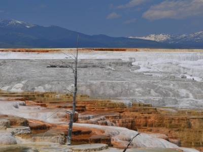 Parc National de Yellowstone