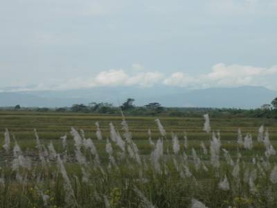 les montagnes birmanes à l'horizon