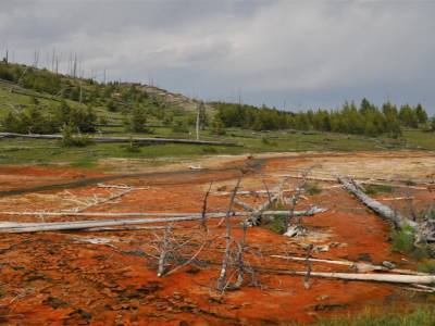 Yellowstone National Park