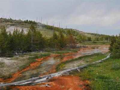 Yellowstone National Park