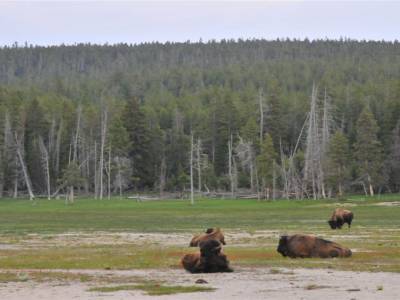 Yellowstone