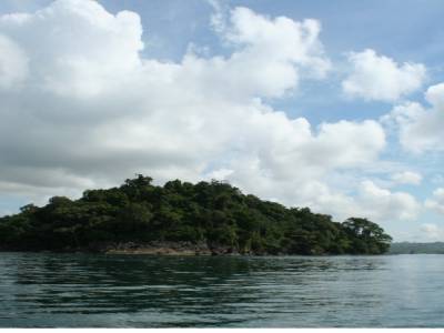 une petite île recouverte de jungle émergeant de l'eau émeraude