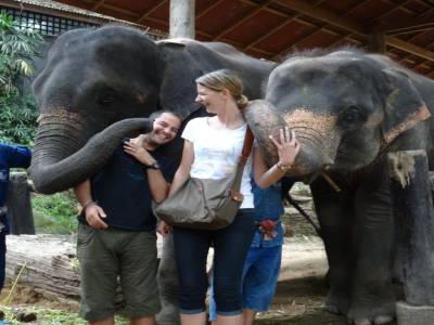 bravo l'éléphant
