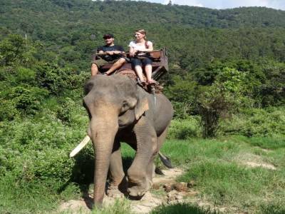 ballade a dos d'éléphant