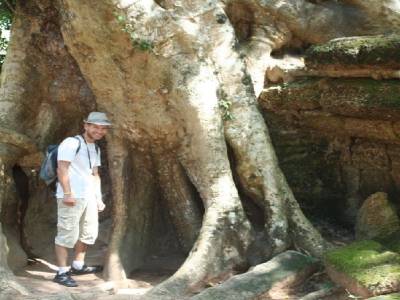 Ta Prohm envahit par les arbres
