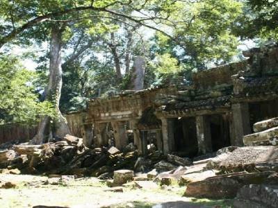Ta Prohm : comme un goût de Tomb Raider