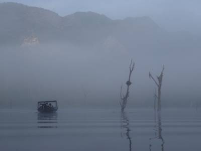 Khao Sok national park : jungle