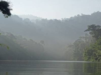 Khao Sok national park : jungle