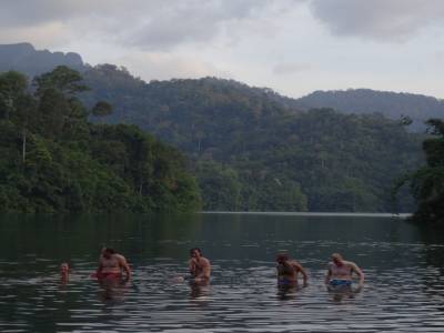 Khao Sok national park : jungle