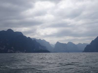 Khao Sok national park : jungle