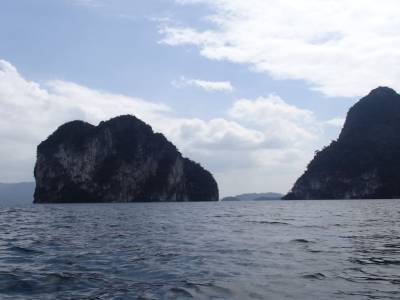 Khao Sok national park : jungle