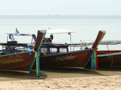 les bateaux traditionnels