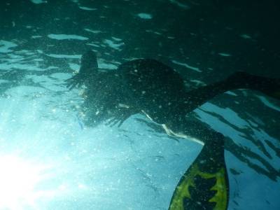under the water