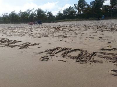 a miami, qq jours avant par ma veinarde de copine