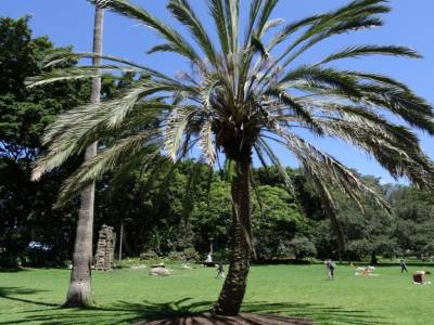 Natural art in Sydney