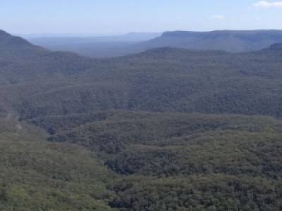 blue mountains