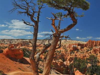 Bryce Canyon