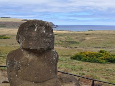 Le seul MOAI à genoux et avec une barbichette