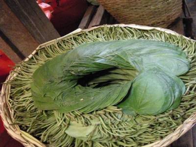 feuille pour preparer du Betel