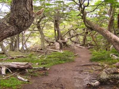 parque Tierra Del Fuego