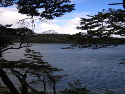 parque Tierra Del Fuego