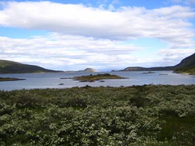 El fin del mundo, parque Tierra Del Fuego