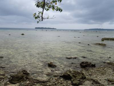 turtle bay Santo
