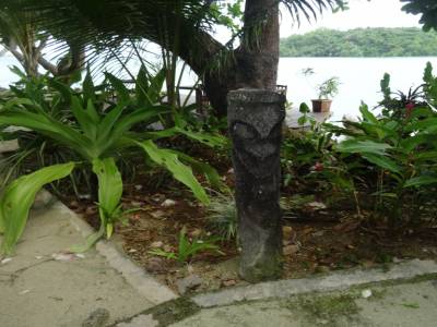 turtle bay Santo
