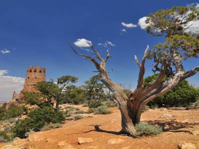 Grand Canyon