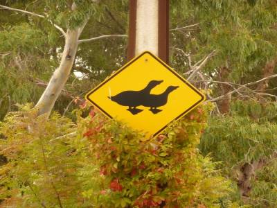 Panneau danger