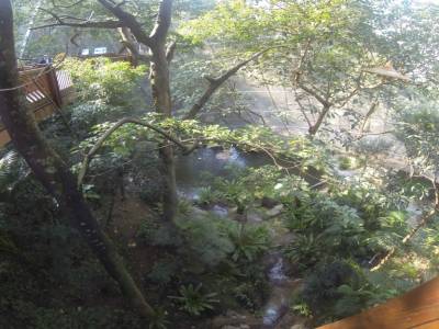 Hong-kong - park, volerie