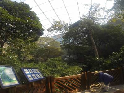 Hong-kong - park, volerie