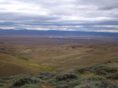 Sur la route Rio Gallegos-Calafate
