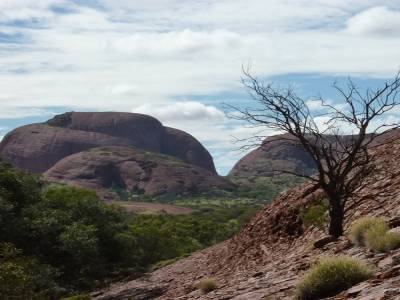 Kata Tjuta bis