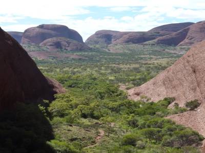 Vue du Kata Tjuta