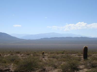 ruta 40