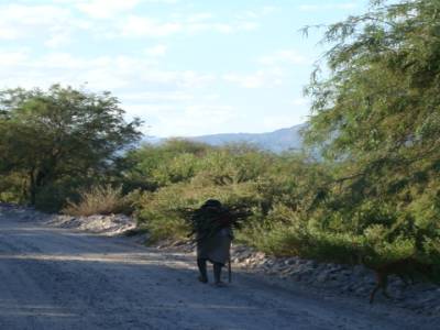 ruta 40 - amerindienne sans age portant des fagots