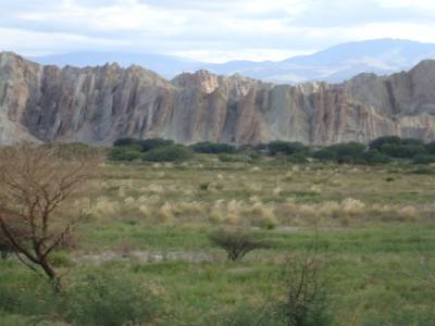 ruta 40
