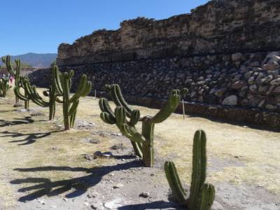 Mitla