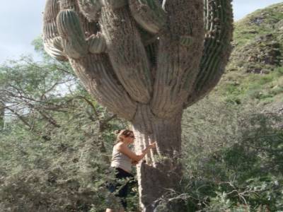 dans mon cactus, il y a des cactus aieaieaie, ouille