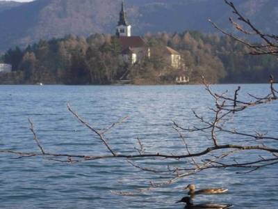 Bled