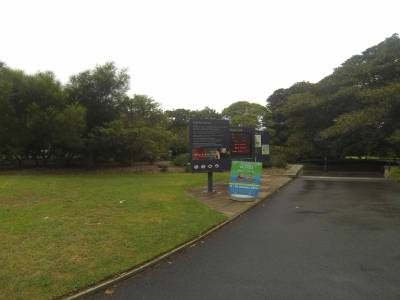 SYDNEY - jardin botanique